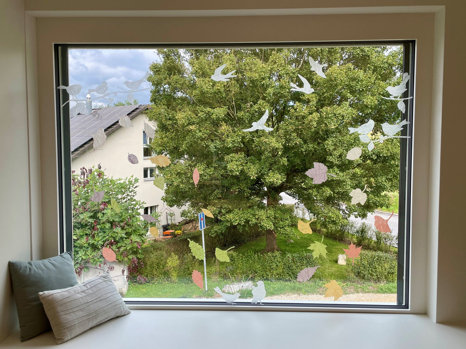 Picture of the season - Herbst 2024