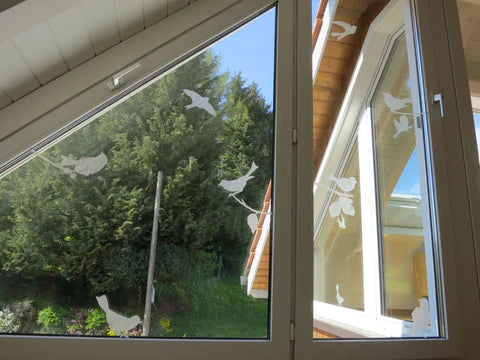 Picture of the season - Frühling 2016