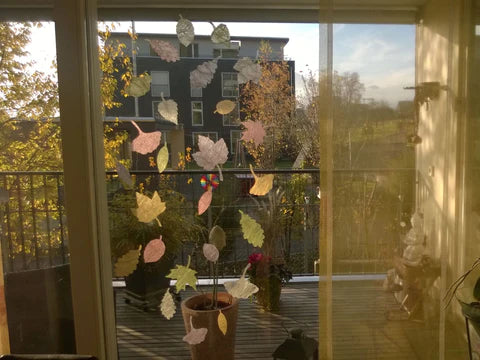 Picture of the season - Herbst 2015