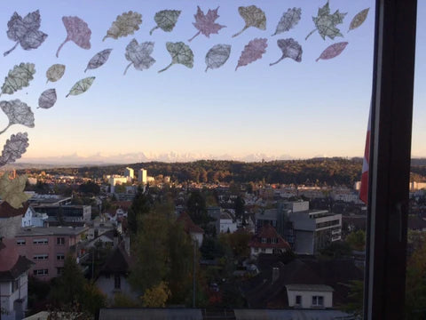 Picture of the season - Herbst 2017