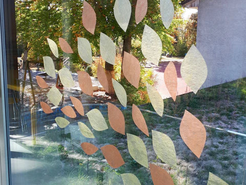 Picture of the season - Herbst 2018