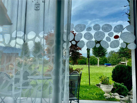 Picture of the season - Herbst 2022 - mit zwei Gewinnerinnen !