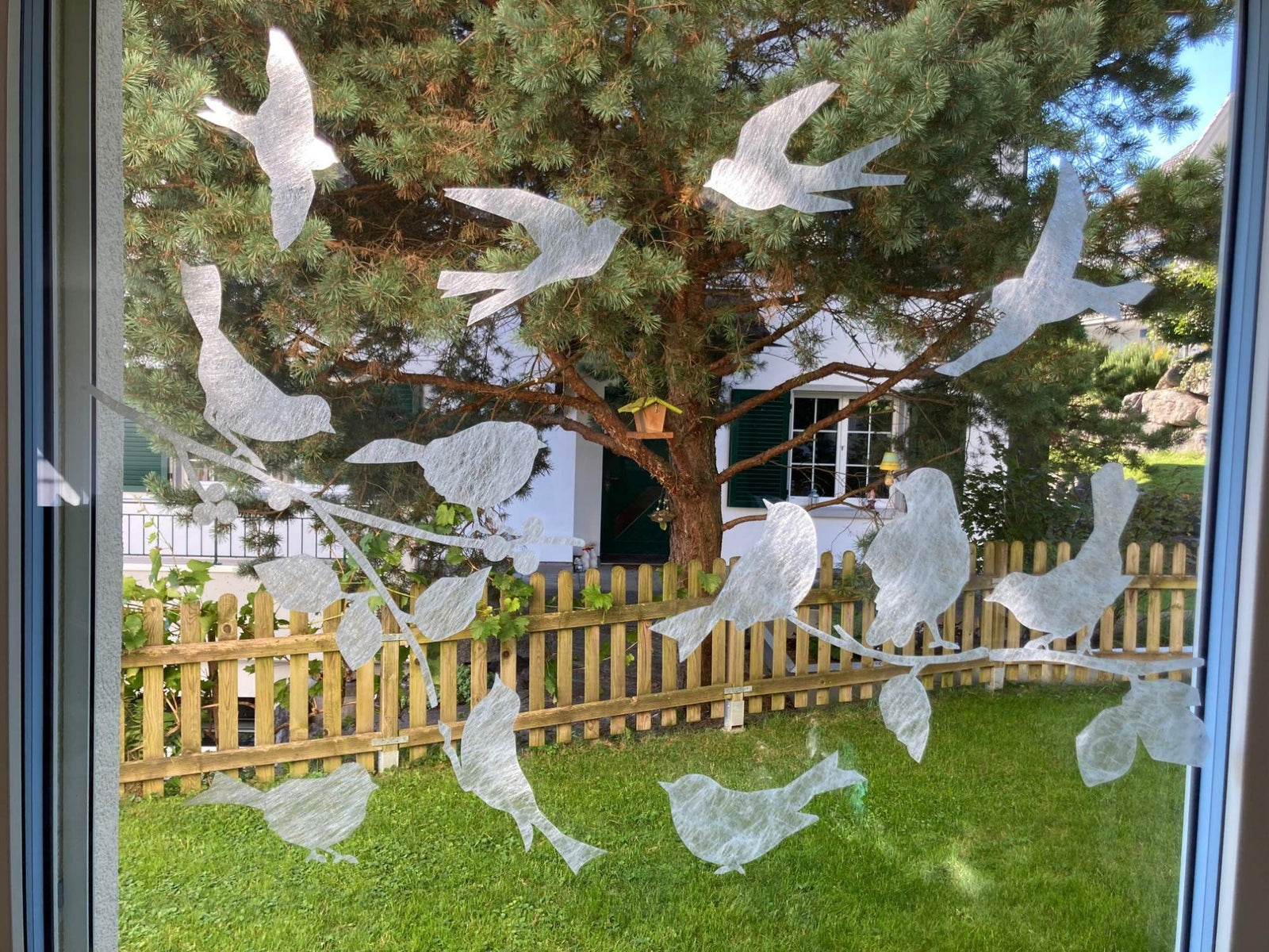 Picture of the season - Herbst 2025