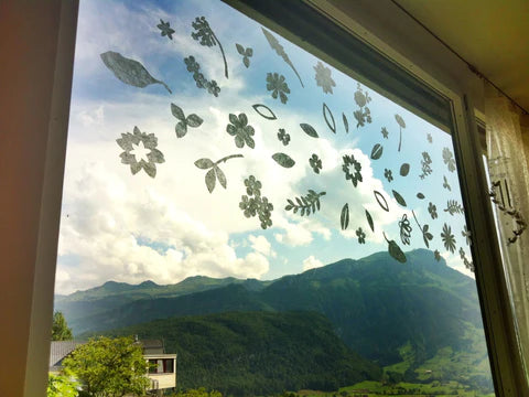 Picture of the season - Sommer 2015