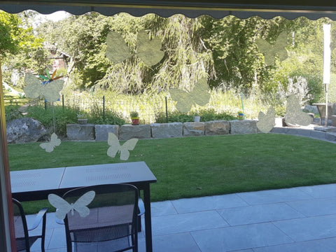 Picture of the season - Sommer 2020