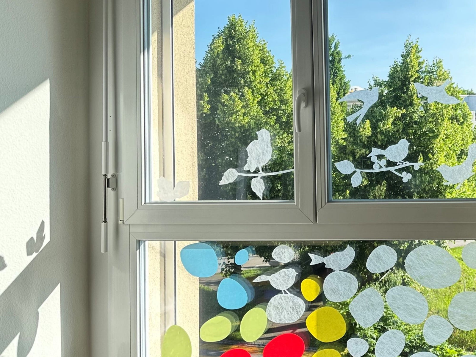 Picture of the season - Sommer 2025