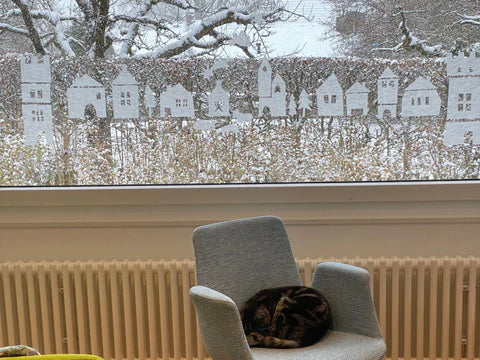 Picture of the season - Winter 2021