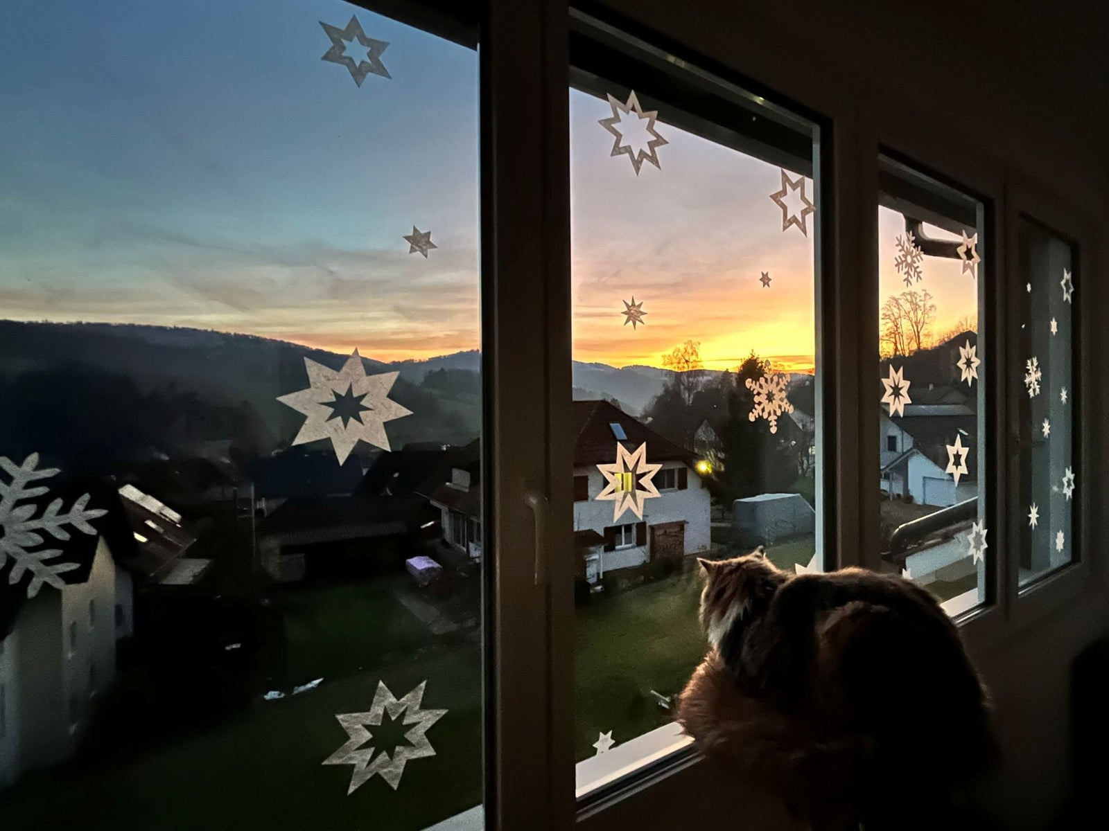 Picture of the season - Winter 2025